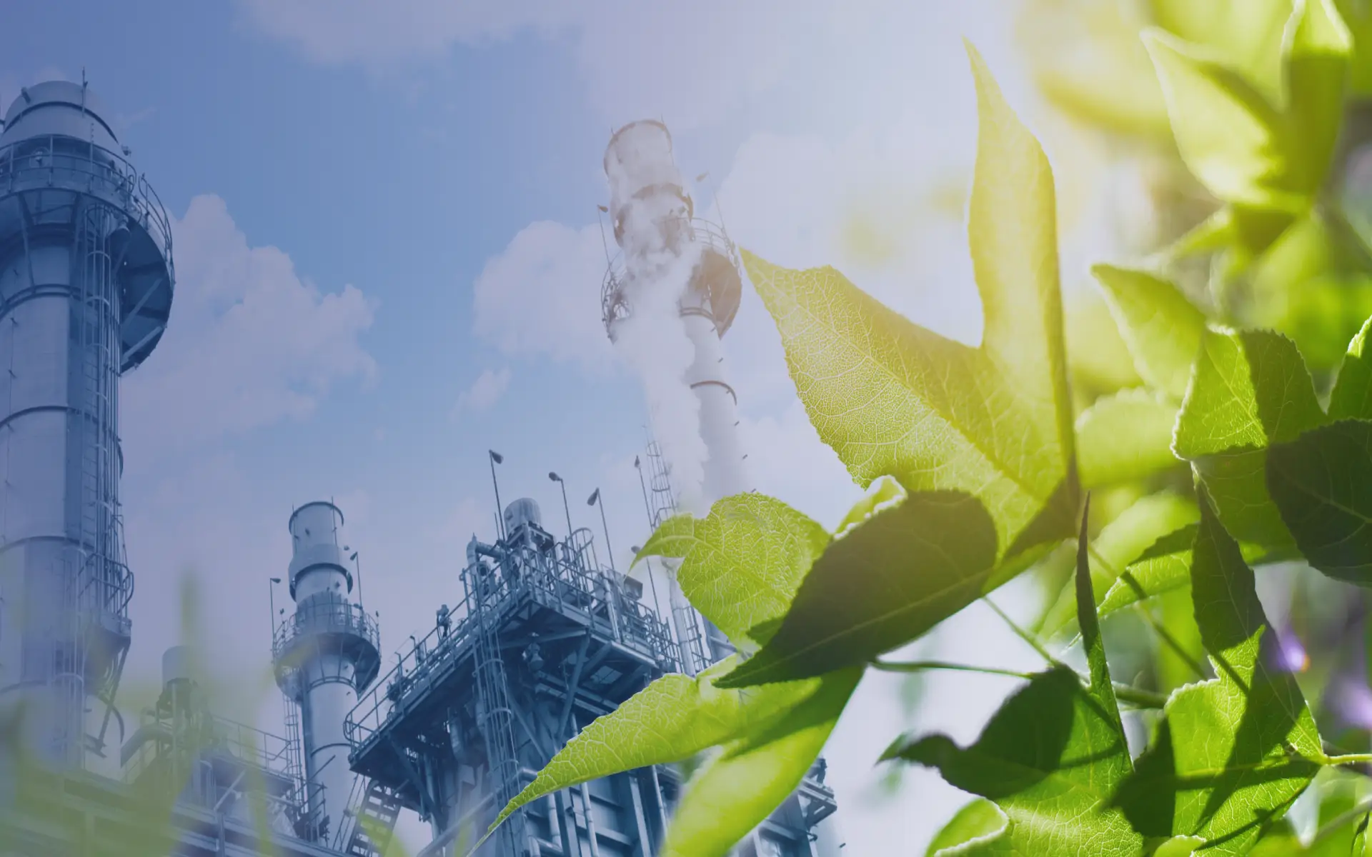 Low Carbon Products